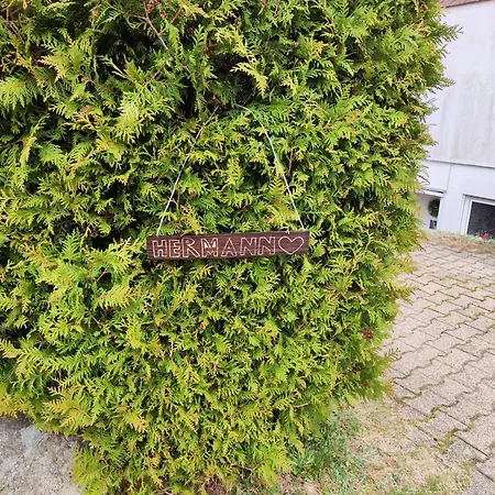 Hermann Schoenwald im Schwarzwald